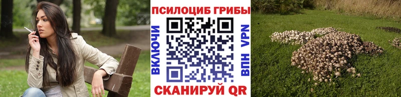 Псилоцибиновые грибы мицелий  даркнет сайт  Багратионовск 